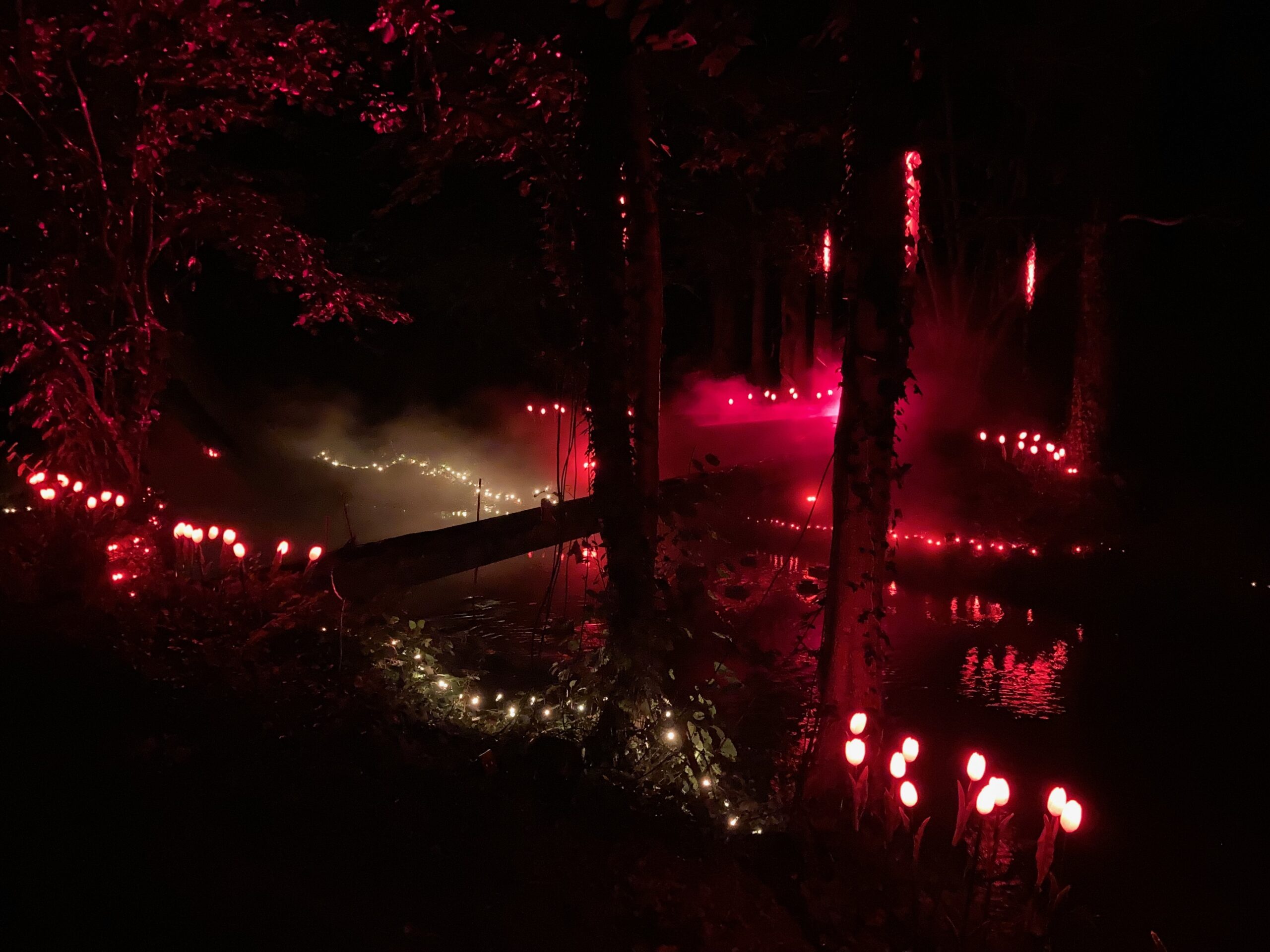 L'Aronde Enchantée — photo 3
